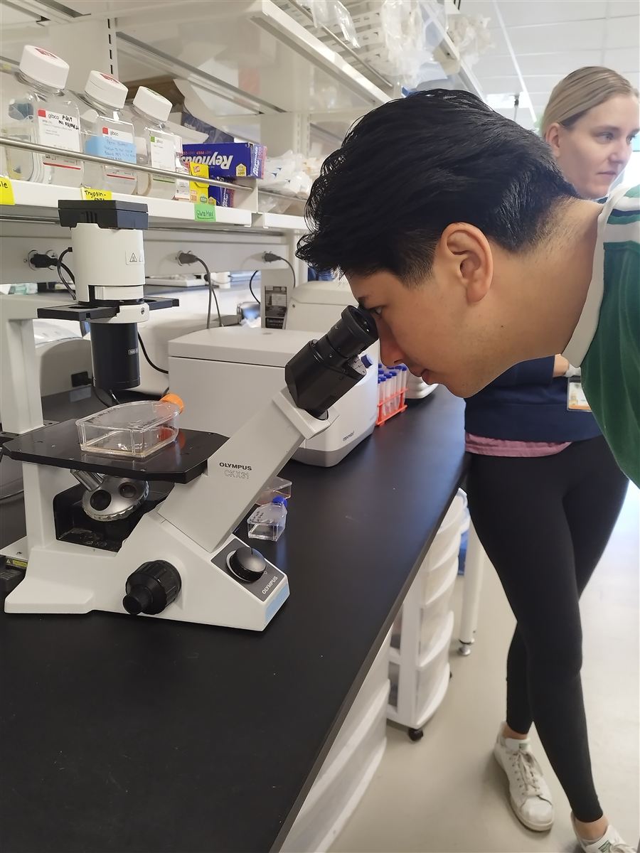 Participant at microscope in Anschutz research lab
